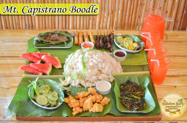 Mt Capistrano Boodle copy